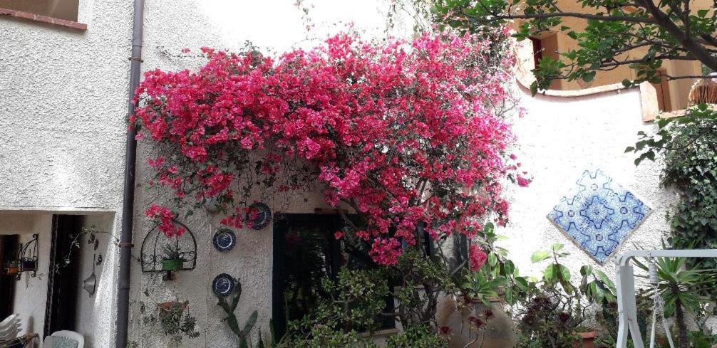 קאסטלמארה דל גולפו Holiday Home Cala Bianca מראה חיצוני תמונה